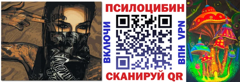 даркнет сайт  Южно-Сахалинск  Псилоцибиновые грибы Psilocybe 